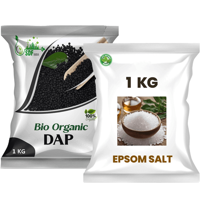 combo pack of 2 DAP 1 kg + Epsom Salt 1 kg
